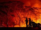 La community videoludica mondiale ha raccolto $4.5 million per l'Australian Bushfire Relief