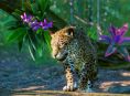 Planet Zoo dà il benvenuto a cinque nuovi animali dal Sud America