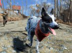 Cambia l'aspetto di Dogmeat in Fallout 4