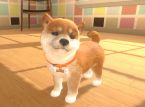 Little Friends: Dogs and Cats - Provato