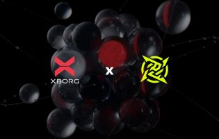 Ninjas in Pyjamas collabora con l'azienda Web3 XBorg