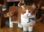 Mojang vuole rendere protagonista il tuo gatto in Minecraft
