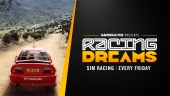 Racing Dreams: Dirt Rally 2.0 / Crash in Grecia